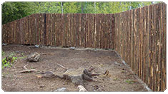 Insynskydd med obarkade hela granslanor.